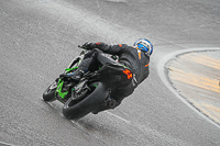 Lower Group Green Bikes